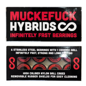 New Hybrids Bearings